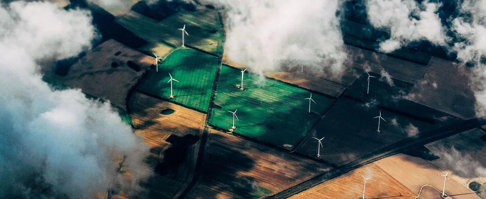 Gelecek Nesillere Temiz Bir Çevre İçin!